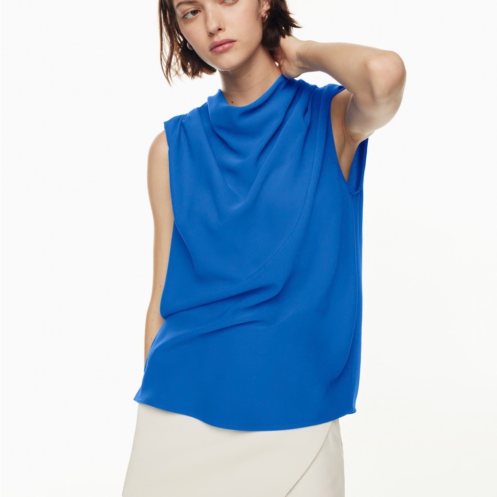 Aritzia Babaton Carter Blouse